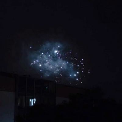 积木大作战破解版下载