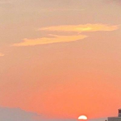 梦幻新大陆官方手游下载
