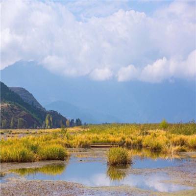 小米萌妖出没手游下载