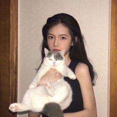 妖怪哪里跑sf版下载